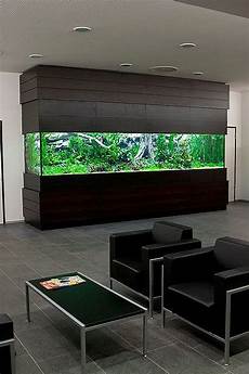 Fish Display Cabinets