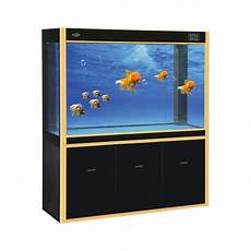 Fish Display Products