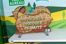 Peanut Display Sases