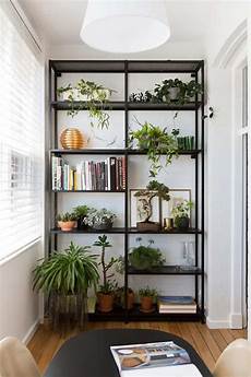 Plant Shelf Indoor
