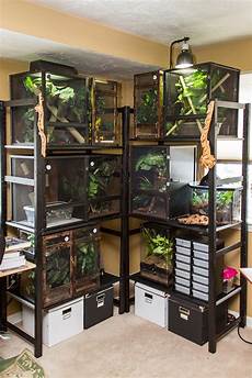 Black Corner Shelf