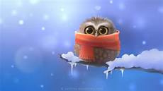 Cold Display