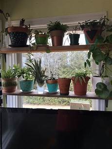 Corner Plant Shelf