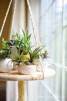 Corner Plant Shelf