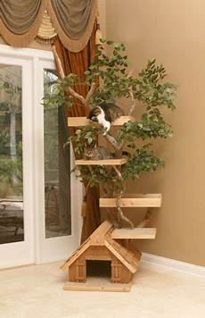 Custom Shelves