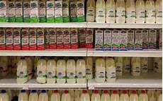 Dairy Displays