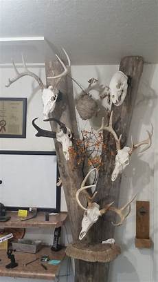 Display Hanger