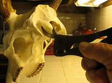 Display Hook