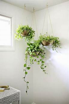 Display Hooks