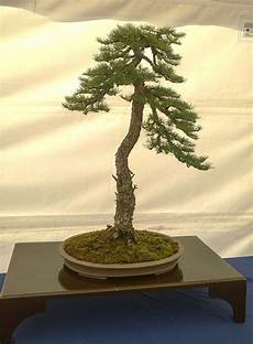 Display Profile