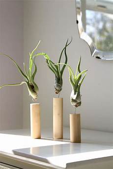 Display Shells