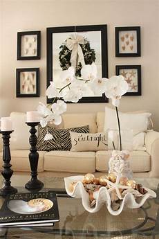 Display Shells