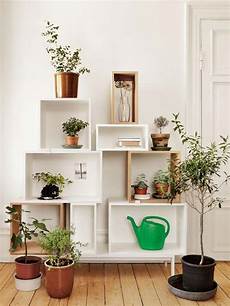Display Stands