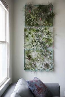 Displays And Frames