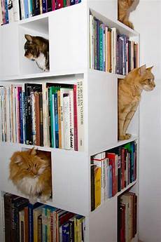 Dvd Shelf