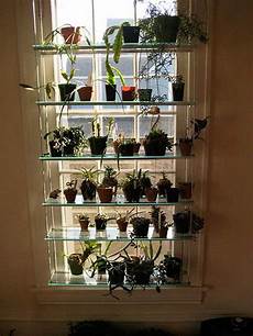 Hanging Plant Shelf
