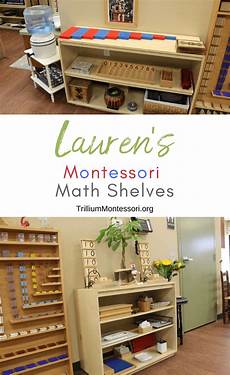 Montessori Shelves