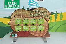 Peanut Display Sases