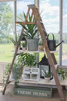 Rustic Ladder Shelf