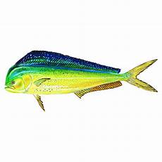 Snapper Display Products