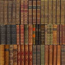 Spine Bookshelf