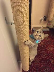 Stacking Shelves
