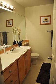 Toilet Storage
