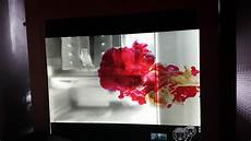 Transparent Lcd Display