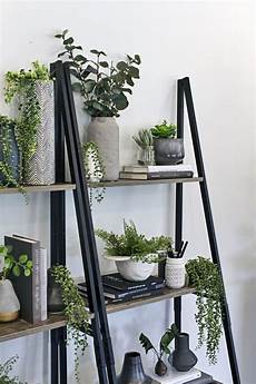 White Ladder Shelf