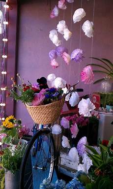 Window Displays