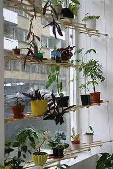 Window Plant Shelf