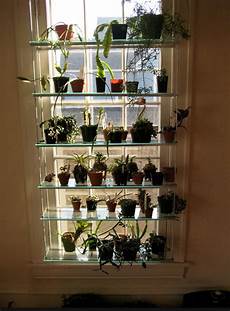 Window Plant Shelf