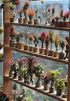 Window Plant Shelf