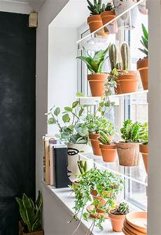 Window Sill Shelf