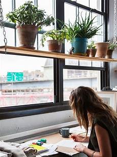 Window Sill Shelf
